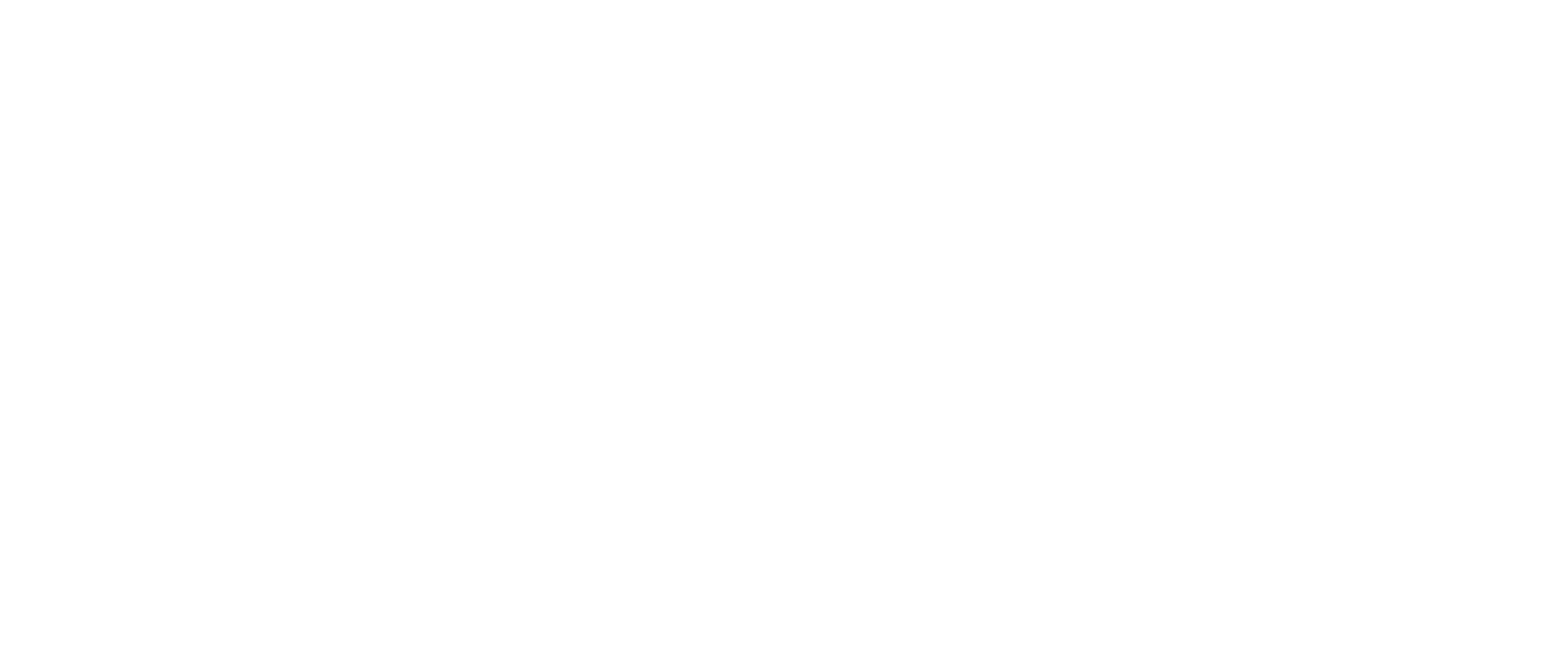 EXA FORM Logo